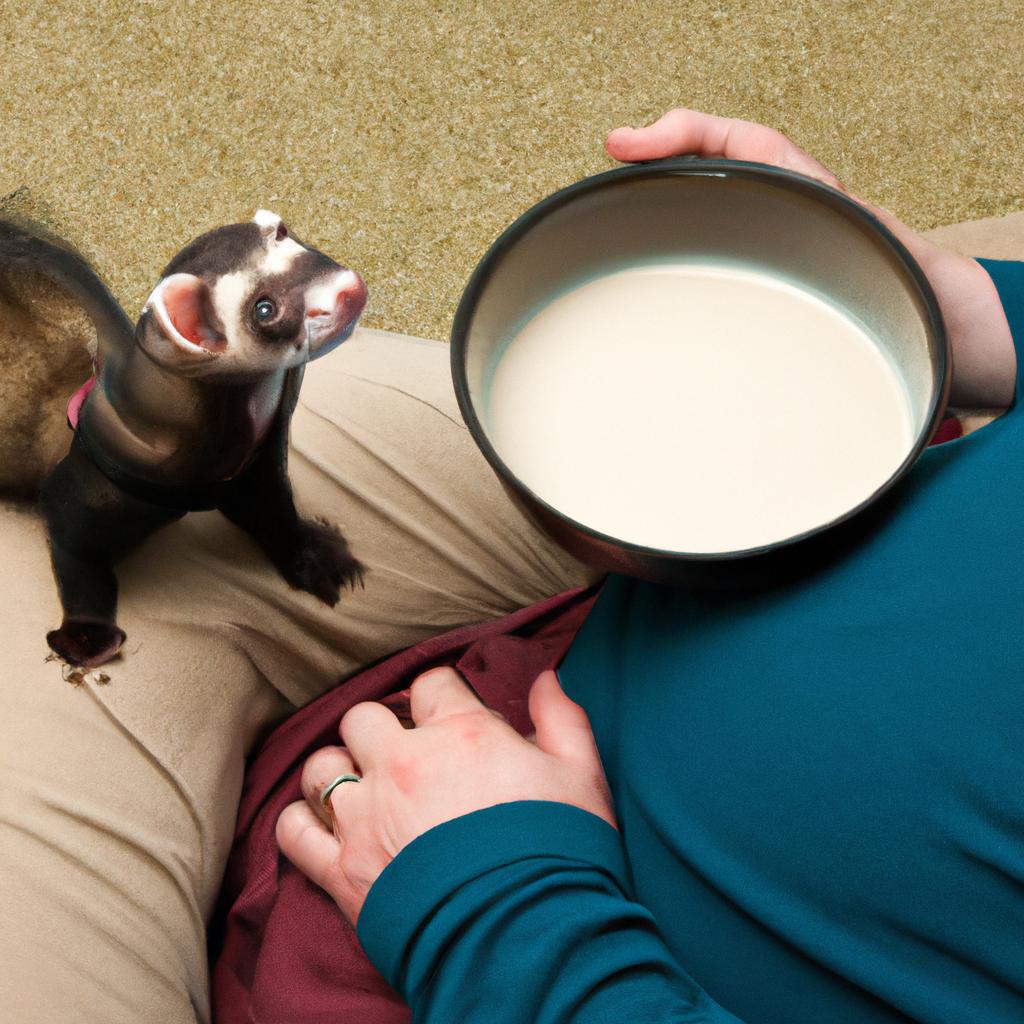 Ferret owners should provide a balanced and nutritious diet for their pets, avoiding milk at all costs.